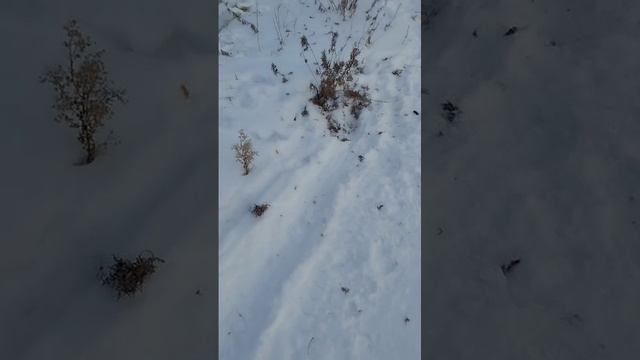 1000003550.mp4