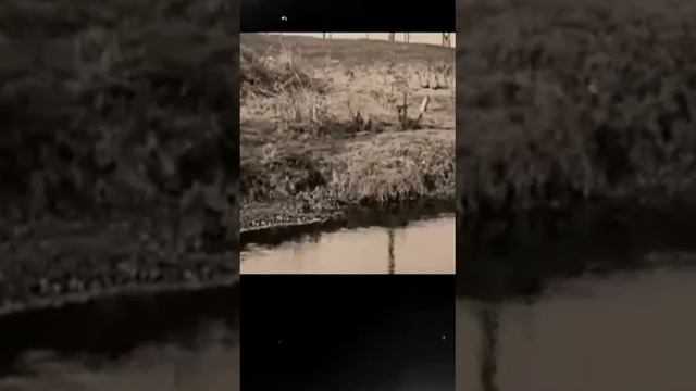 В угодьях