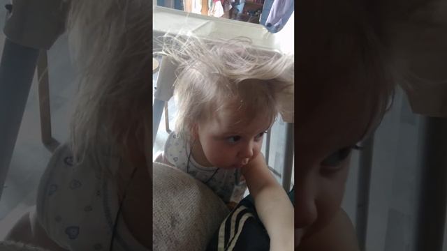 холва и лохматик