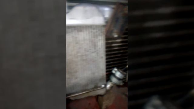 VID_20241224_125343_811.mp4