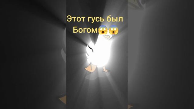 этот гусь был богом