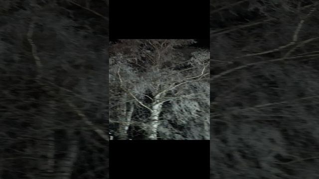 #зимняя сказка