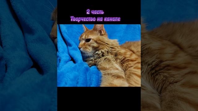 Новогодние каникулы и зима (тип маразм)