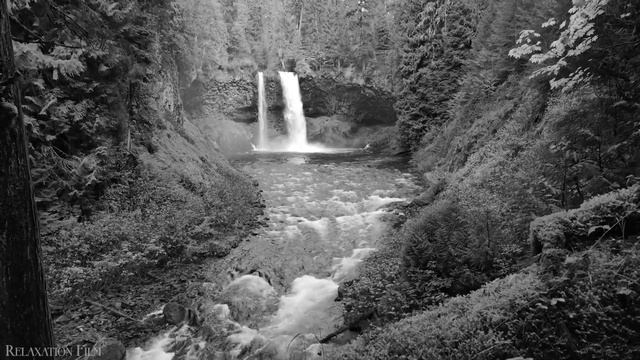 16. 16. Зинаида Миркина. Легконожка.