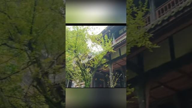 Человек в потоке превращений