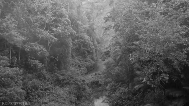 14. 14. Зинаида Миркина. Снежная королева.