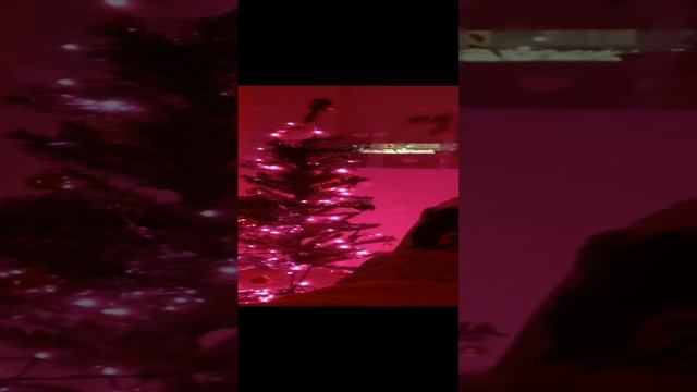 оцените мою ёлку пппжжжж пожалуйста пожалуйста пожалуйста пожалуйста пожалуйста пожалуйста пожалуйст