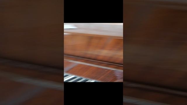 VID_20230417_095616.mp4