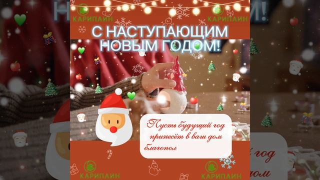 5. КАРИПАИН С наступающим Новым Годом