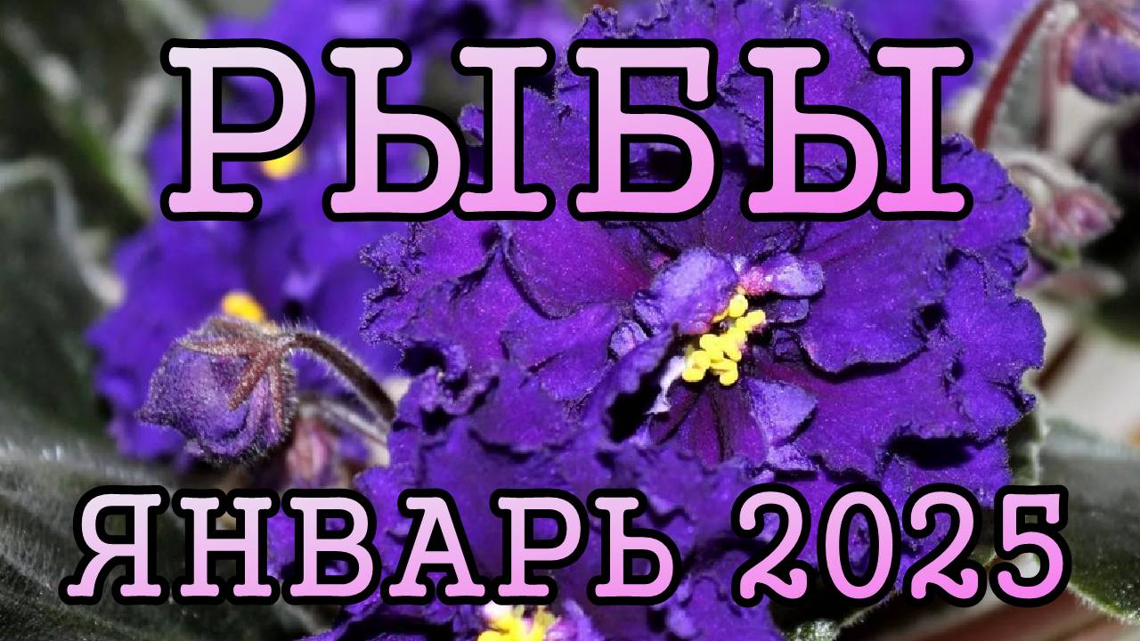 РЫБЫ таро прогноз на ЯНВАРЬ 2025 года.