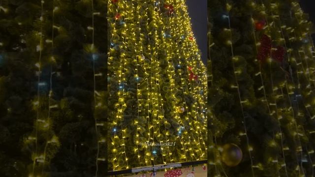 🎄🎄🎄🎄🎄