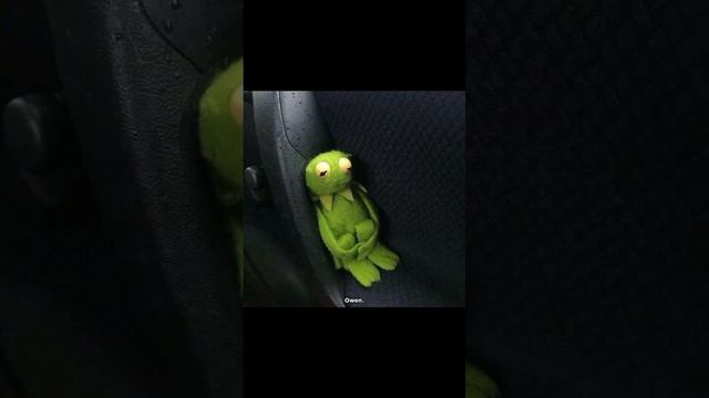 24-12-2024