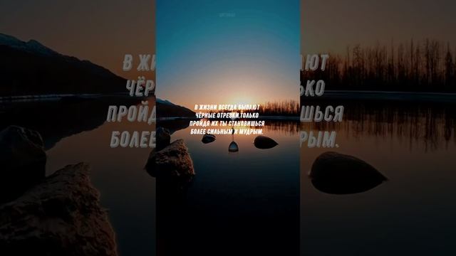 #716 Цитата дня. Мотивация.