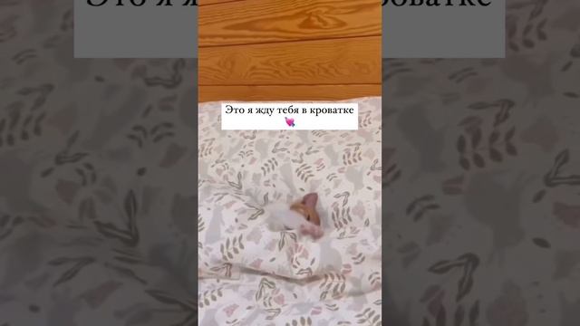 Стоп!