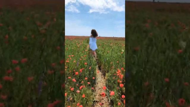 Беги в Крым, Дорогая!  А вы уже запланировали отпуск?