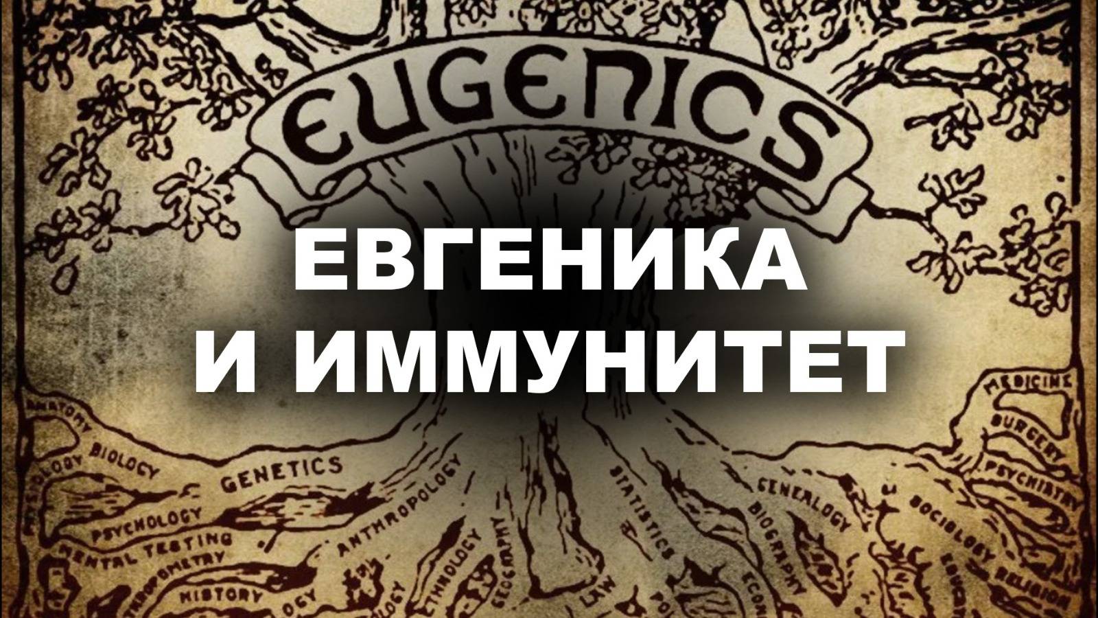 ЕВГЕНИКА И ИММУНИТЕТ