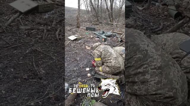 Покровское направление