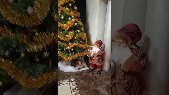 Пришёл дед мороз со снегурочкой,  С НОВЫМ 2025 ГОДОМ!!!