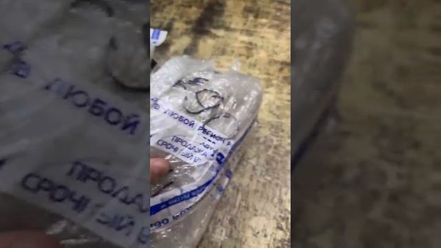 WhatsApp Video 2024-12-24 at 11.07.30