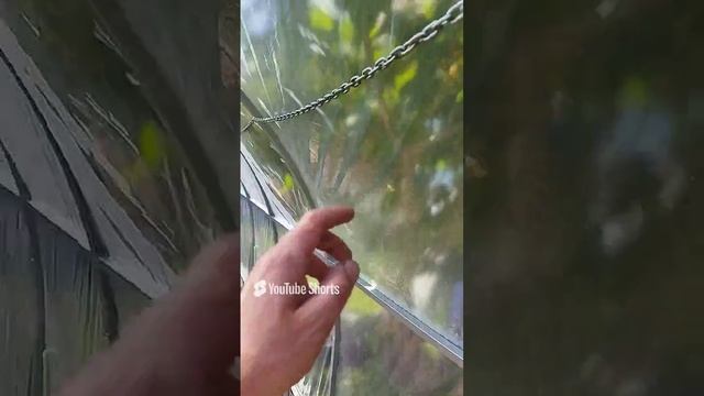 1000081637.mp4