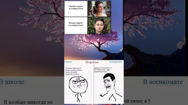 meme #mem #юмор #мем #школа #шарага #универ #смех #meme #ril #pov # рил