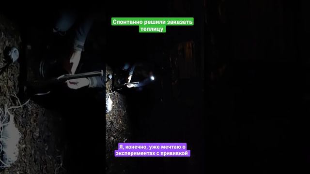 это вообще не входило в план и бюджет, но очень круто!!