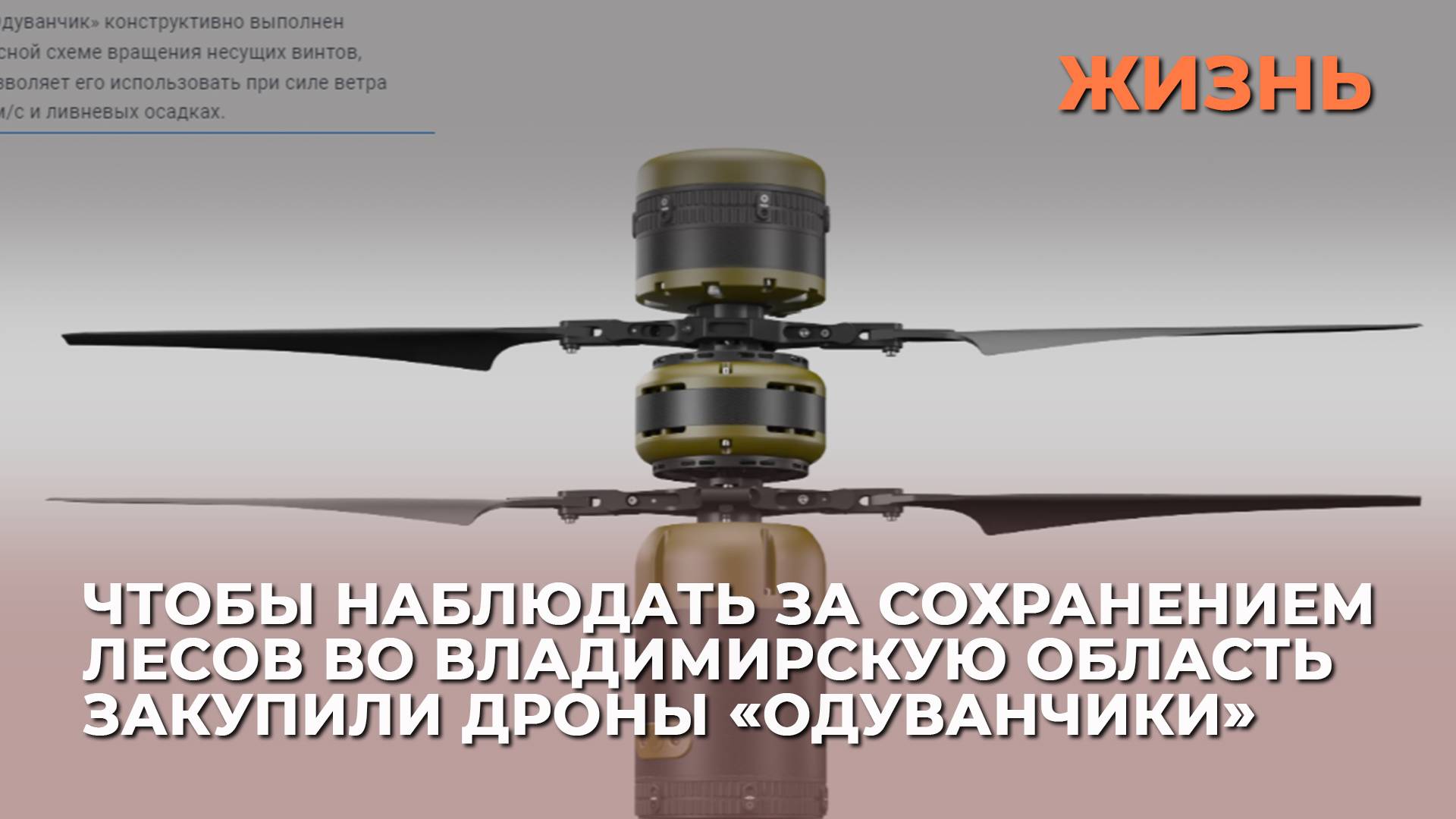 Чтобы наблюдать за сохранением лесов во Владимирскую область закупили дроны «Одуванчики»
