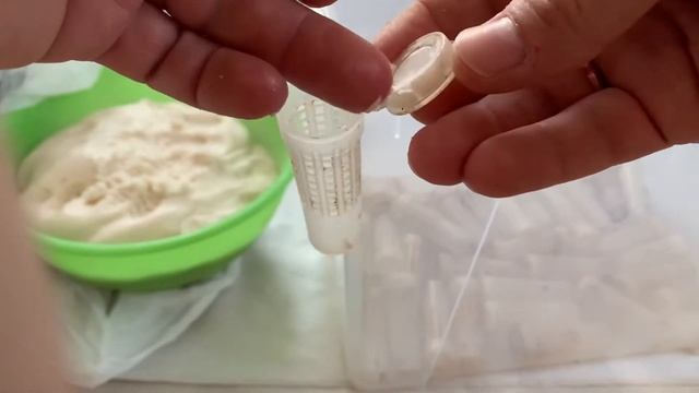 Готовим клеточки, мисочка