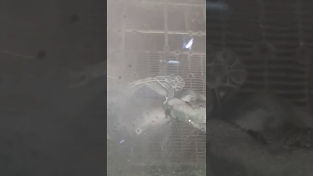Замена пескоструя самым быстрым аквабластом WasserJet #wetblasting