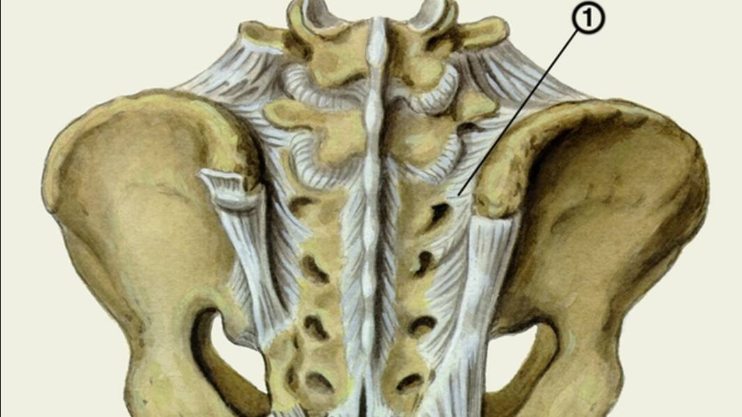 Как разблокировать крестцово-подвздошный сустав