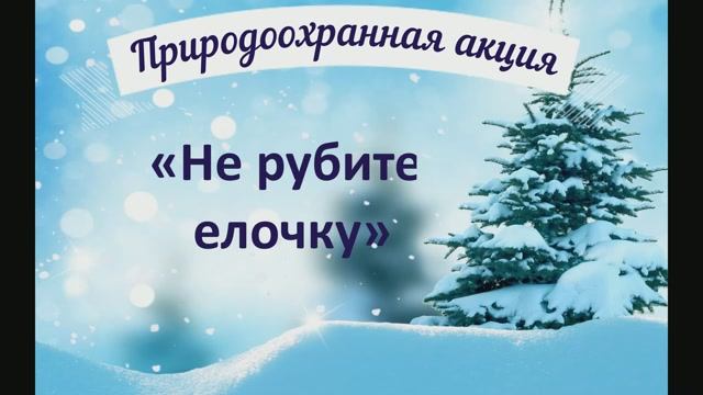 Акция Не рубите елочку