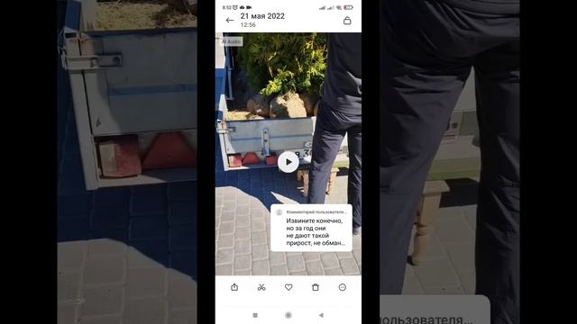 пассивная агрессия это уже перебор