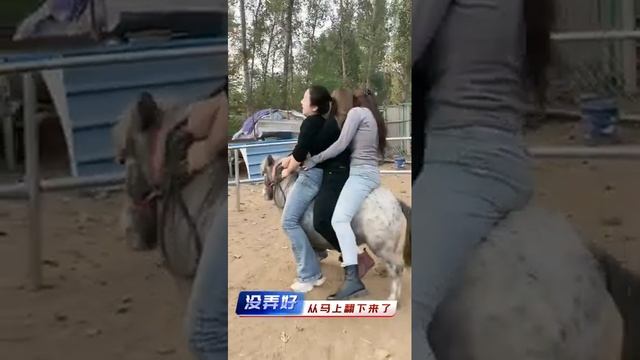 Triple Pony Riding donkey