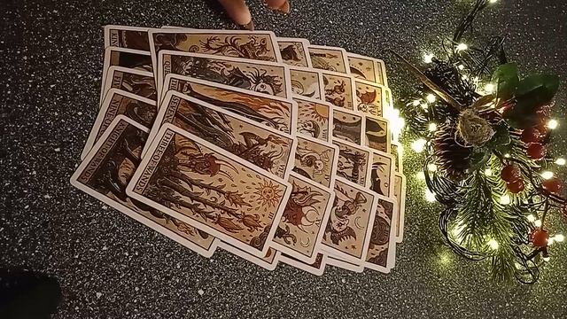 VID_20241224_175522.mp4