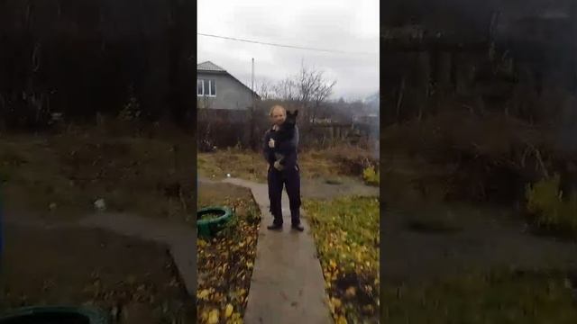 цирк 2