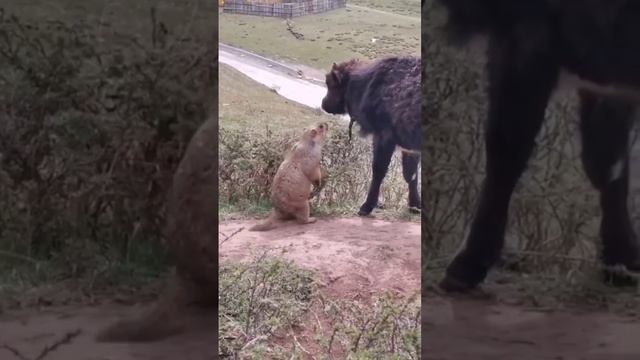 Даже и не знаю, что сказать...
😊😊😊