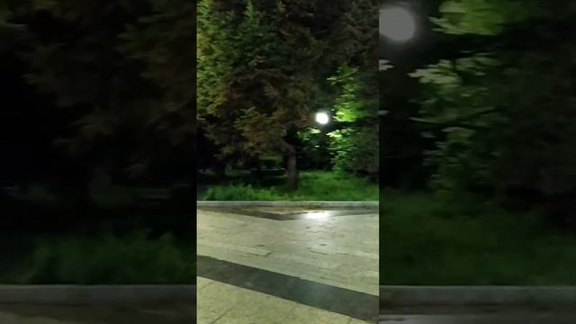 Сквер Почетных Граждан Владивостока вечером.