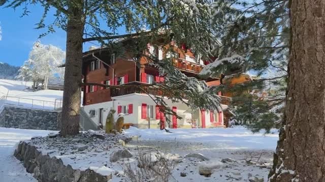 Самая красивая швейцарская деревня зимой ❄️ Гриндельвальд 4K 🇨🇭