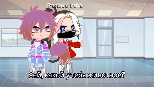 meme "домашнее животное"