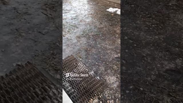 В декабре ледяной дождь 🔥