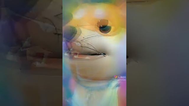 шпициальный рапорт