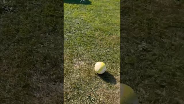 Первые уроки футбола.mp4