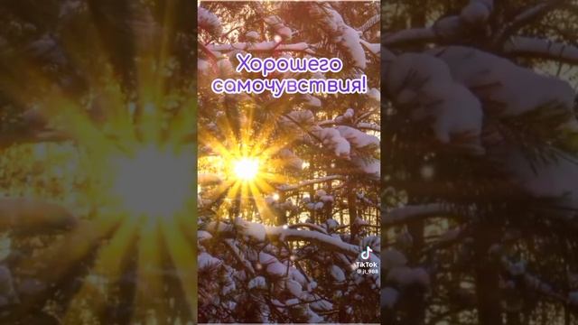 доброе утро