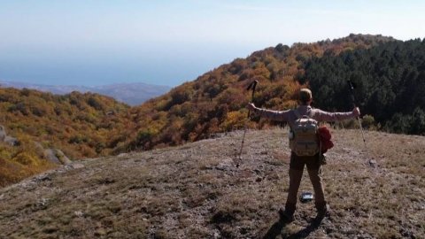 Осенняя Демерджи (Южная). II