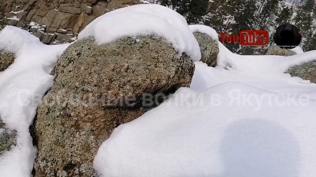 Якутия