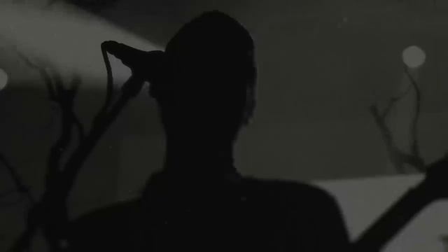 Austere _ Sullen