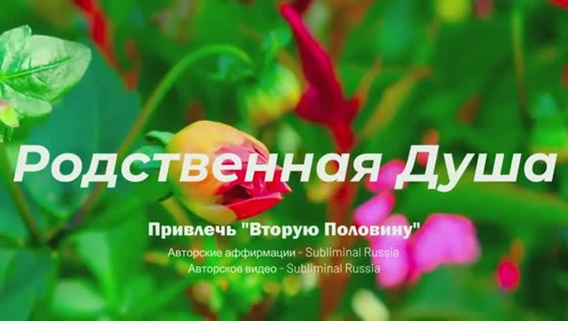 Родственная Душа & Любовь (Для Женщин)*Скрытые аффирмации*Саблиминал.