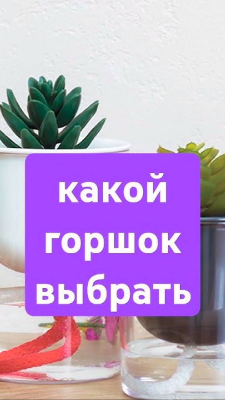 Как выбрать идеальный горшок для растения？ #растения #уход #садоводство
