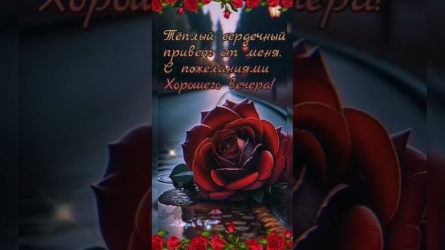Video.Guru_20241224_015858832.mp4