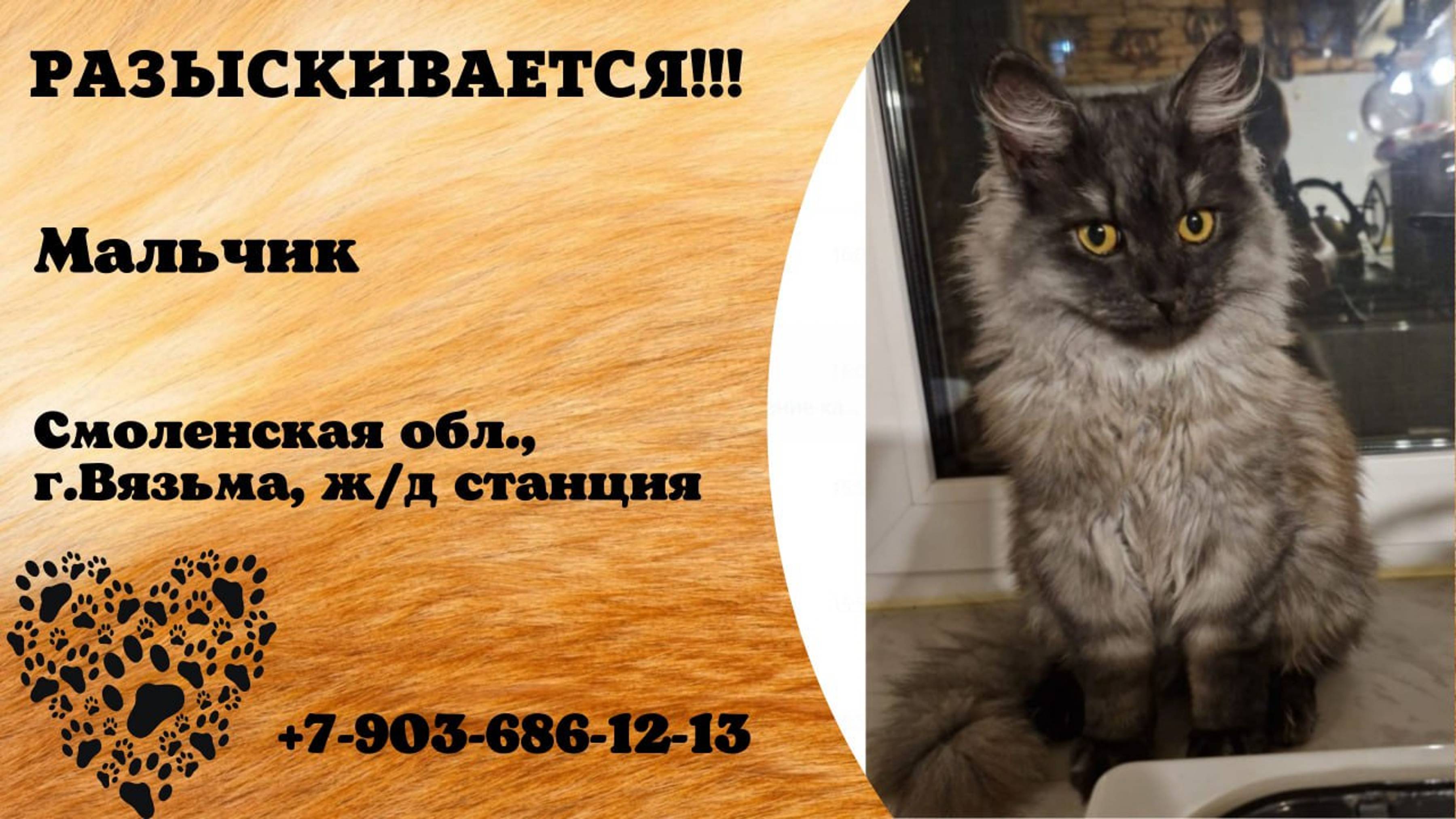 Пропал! Мальчик. Смоленская обл, г. Вязьма